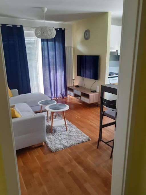 Apartman Arena-Velesajam Vito ザグレブ エクステリア 写真